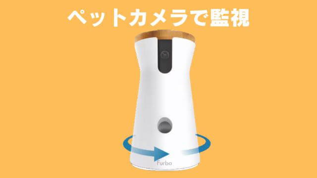 犬の無駄吠えをしつけ