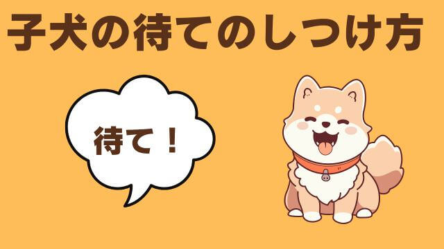 子犬の待てのしつけ