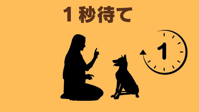 子犬の待てのしつけ