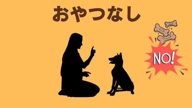 子犬の待てのしつけ