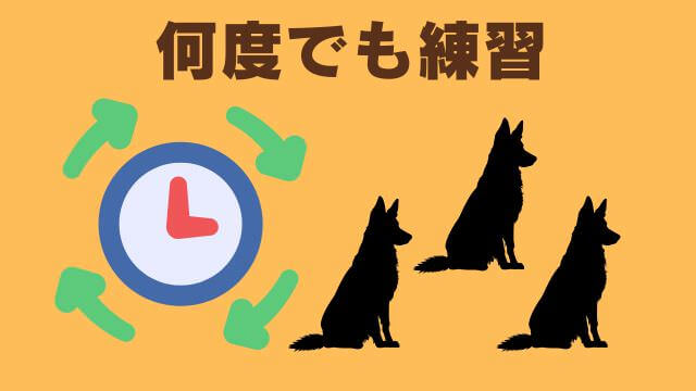 子犬の待てのしつけ