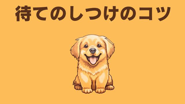 子犬の待てのしつけ