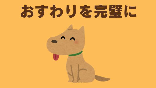 子犬の待てのしつけ