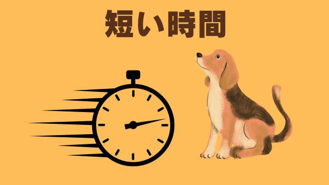 子犬の待てのしつけ