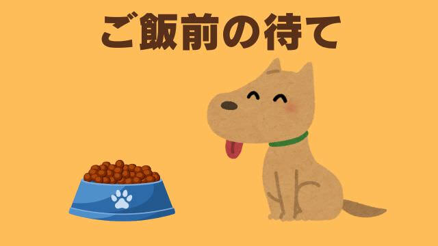 子犬の待てのしつけ