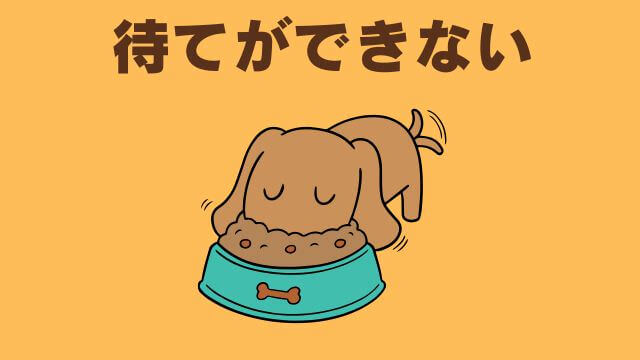 子犬の待てのしつけ