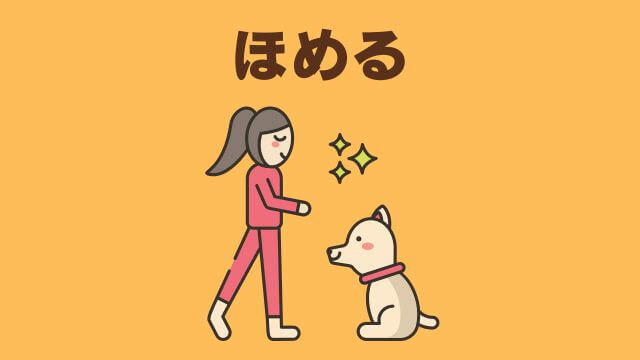 子犬の待てのしつけ