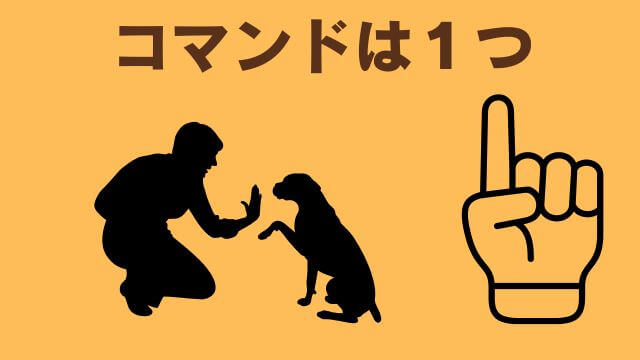 子犬の待てのしつけ