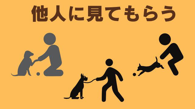 子犬の待てのしつけ