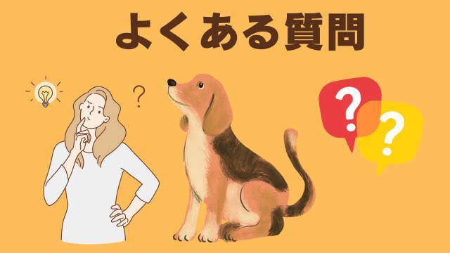 子犬の待てのしつけ