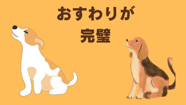 子犬の待てのしつけ