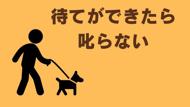 子犬の待てのしつけ