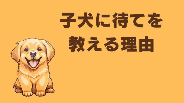 子犬の待てのしつけ