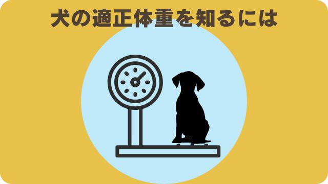 犬の適正体重