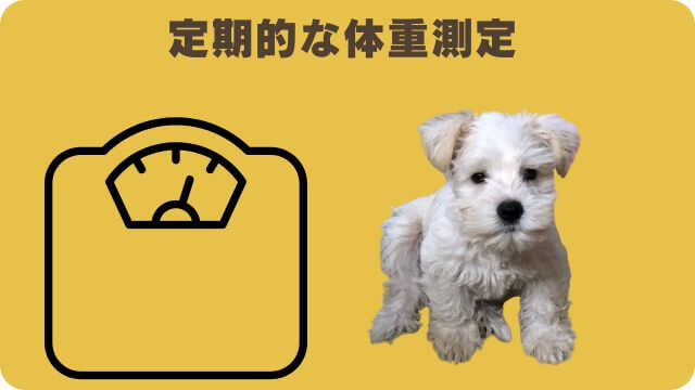 犬の適正体重