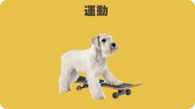 犬の適正体重