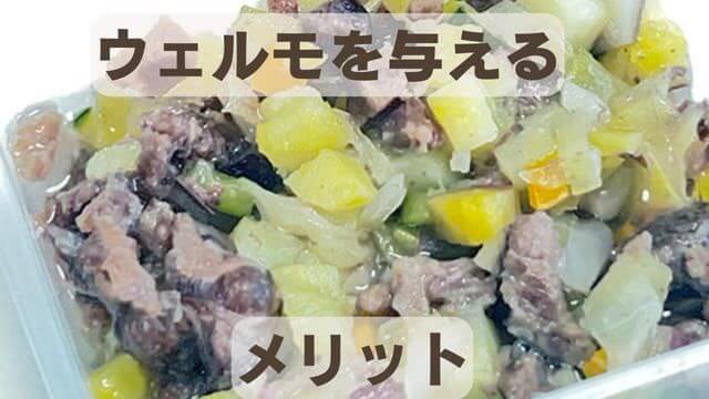 WelMo(ウェルモ)ペットフード