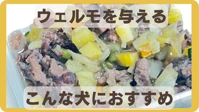 WelMo(ウェルモ)ペットフード