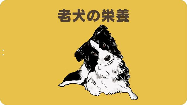 WelMo(ウェルモ)ペットフード