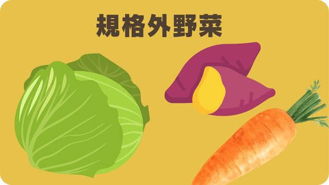 WelMo(ウェルモ)ペットフード