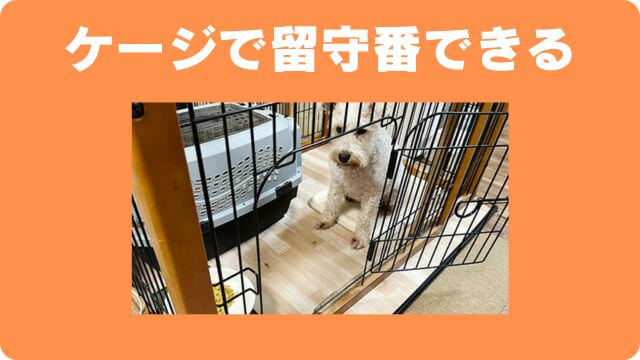 子犬が吠える理由