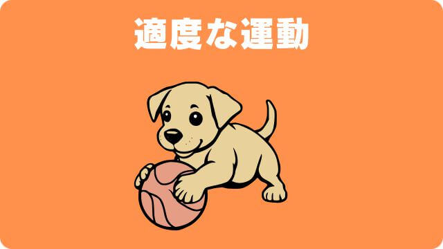 子犬が吠える理由