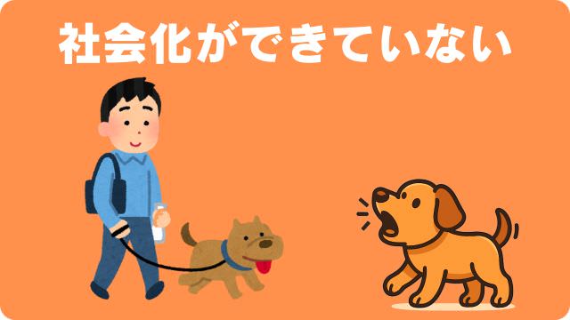 子犬が吠える理由