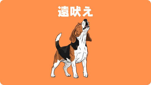 子犬が吠える理由