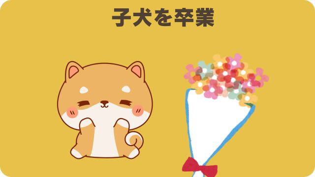 エッセンシャルとユリカゴプレミアムドッグフード