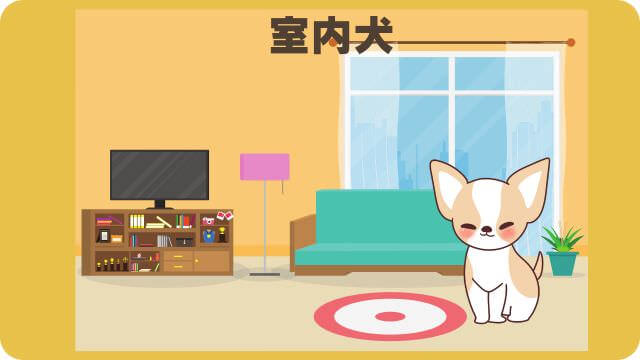 エッセンシャルとユリカゴプレミアムドッグフード