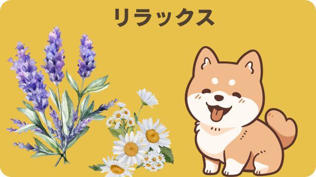 エッセンシャルとユリカゴプレミアムドッグフード