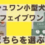 ミシュワン