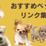 ペットブログリンク集