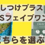 しつけlプラスフェイブワン