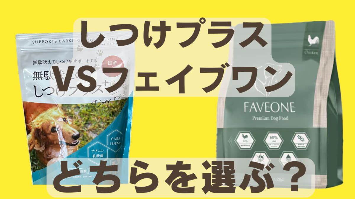 しつけlプラスフェイブワン