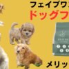 フェイブワンドッグフード