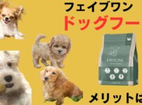 フェイブワンドッグフード