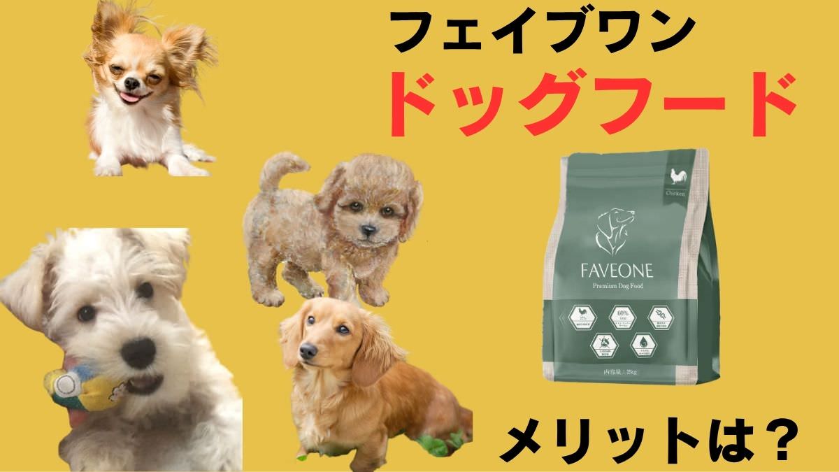 フェイブワンドッグフード
