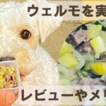 WelMo（ウェルモ）ペットフード