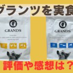 グランツドッグフード