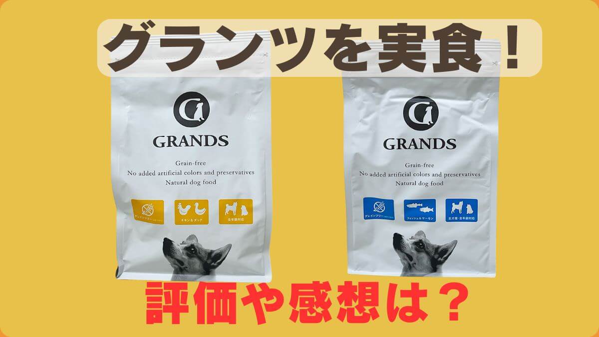 グランツドッグフード