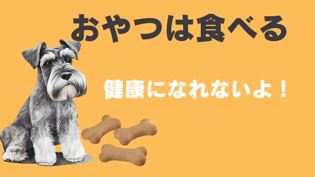 画像に alt 属性が指定されていません。ファイル名: shunauzer-not-eat105.jpg